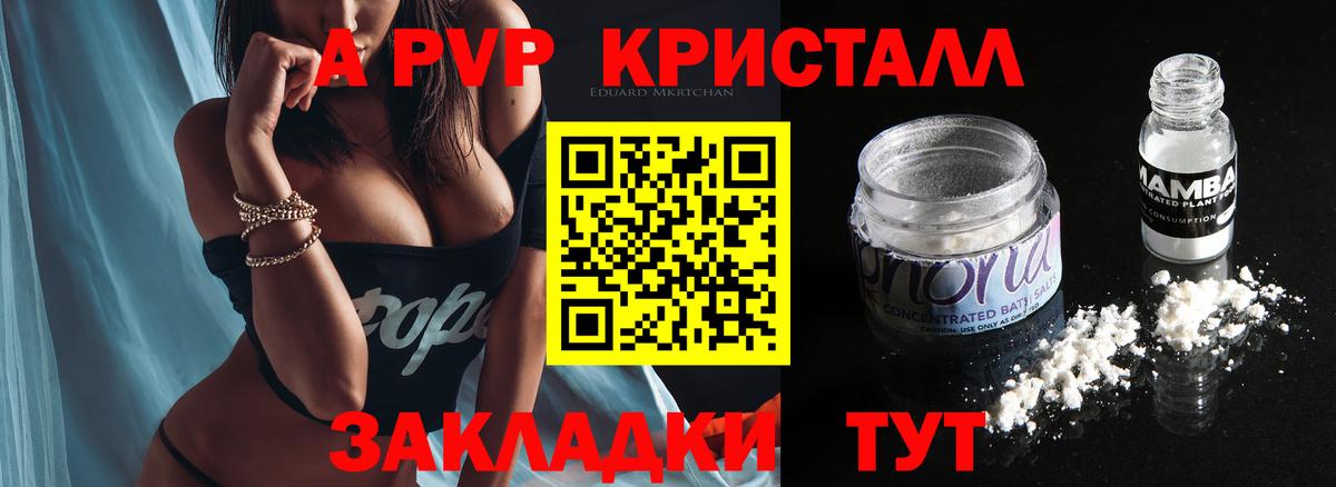 A-PVP СК КРИС Прокопьевск