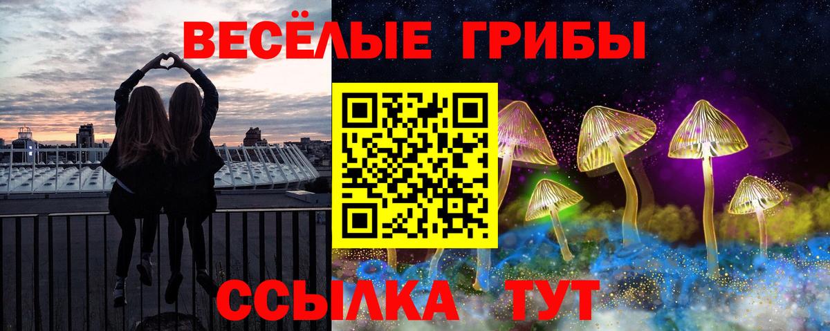 Псилоцибиновые грибы мухоморы Прокопьевск