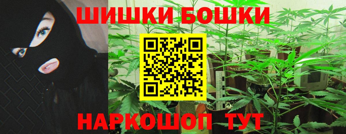 Бошки марихуана тримм  Вход с VPN  Конопля SATIVA & INDICA  Шишки марихуана сатива  Прокопьевск 